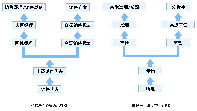 欣希安药业员工职业发展