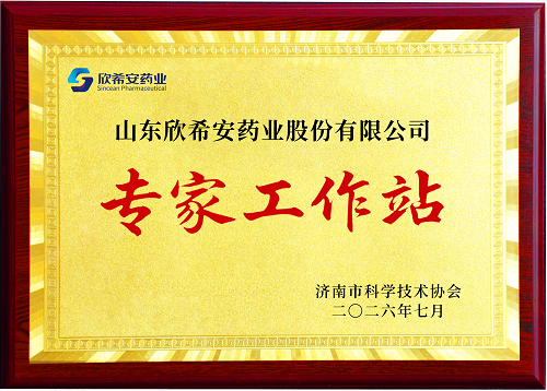 专家工作站.png